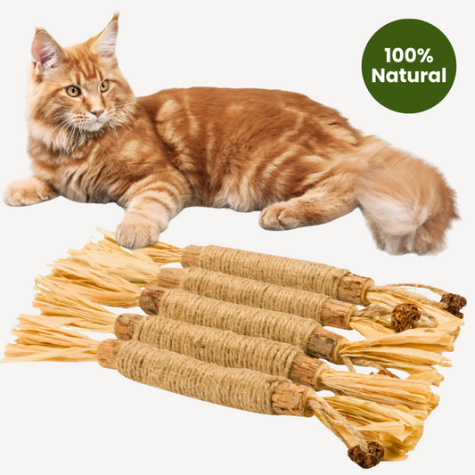 Noriva™ Natural Silvervine Dental Sticks
