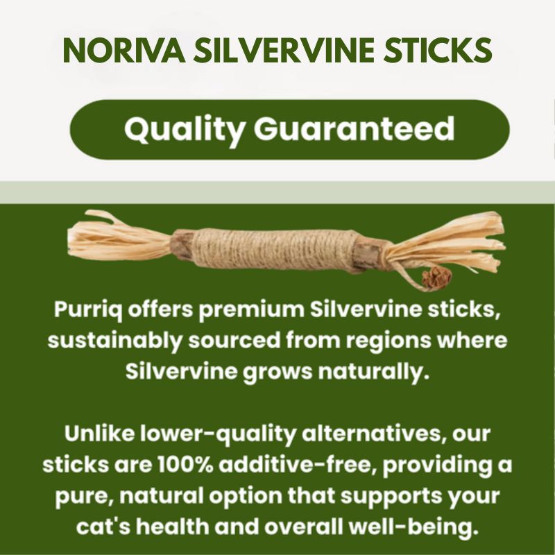 Noriva™ Natural Silvervine Dental Sticks