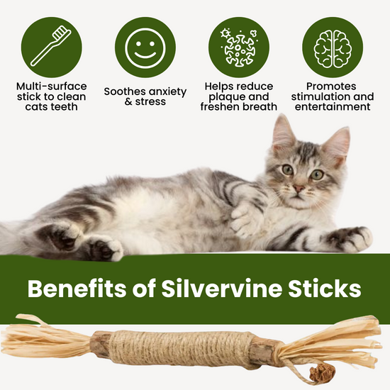 Noriva™ Natural Silvervine Dental Sticks
