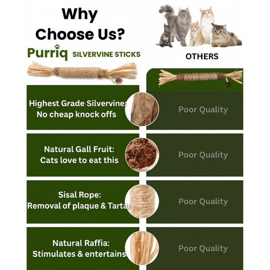 Noriva™ Natural Silvervine Dental Sticks