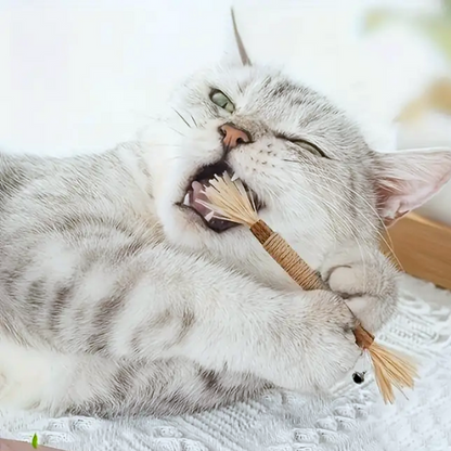 Noriva™ Natural Silvervine Dental Sticks